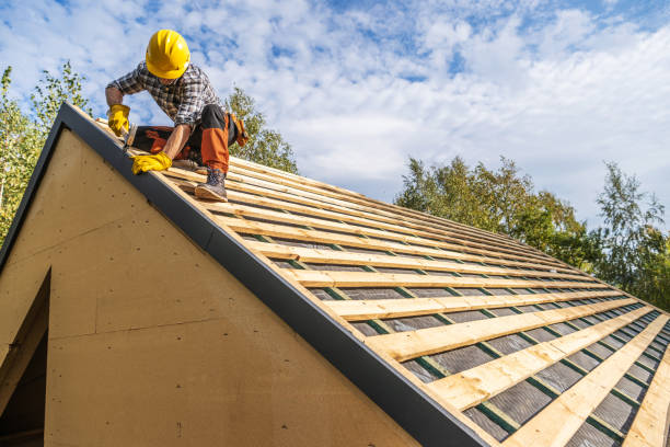 Best Storm Damage Roof Repair  in Dale, IN