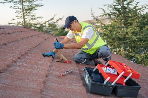 Best Roof Gutter Cleaning  in Dale, IN