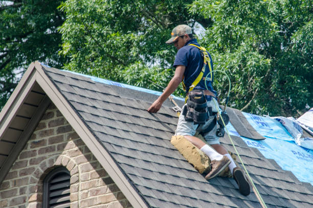 Roof Gutter Cleaning in Dale, IN